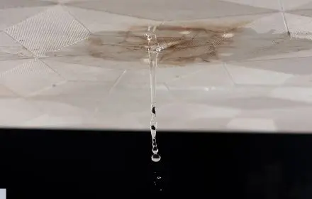 Agence M Com Marseille Chercheur de Fuite Sud CDF